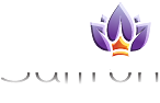 light logo